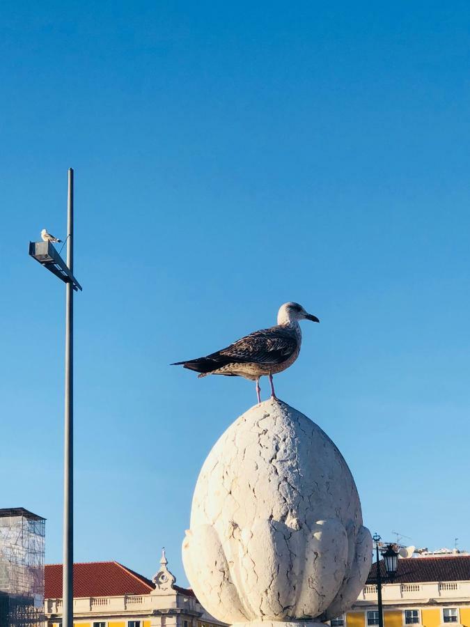 Lisboa 亚洲珠穆朗玛峰之家旅舍旅舍 外观 照片
